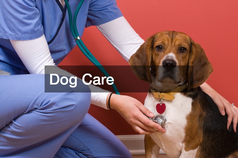 dog care